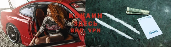 гашик Няндома