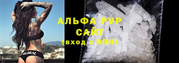 гашик Няндома