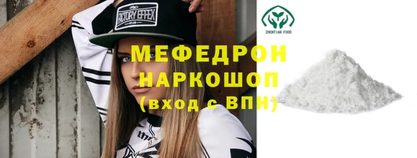 гашик Няндома