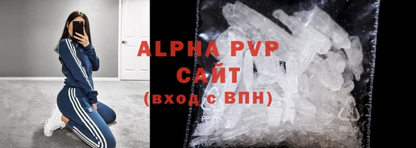 гашик Няндома
