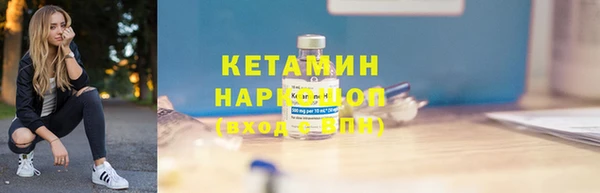 гашик Няндома
