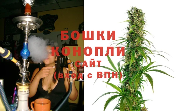 гашик Няндома