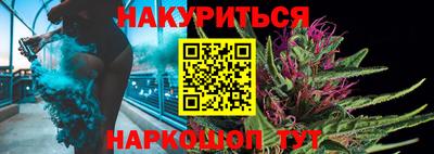apvp Гатчина