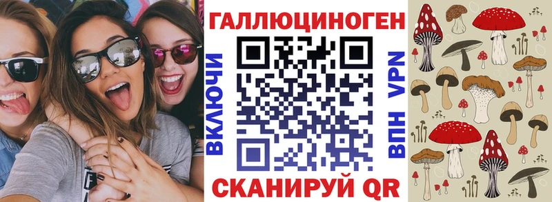 закладка  Когалым  Галлюциногенные грибы Magic Shrooms 